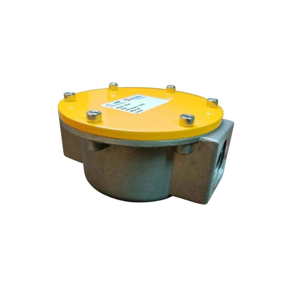 Giuliani Anello Gas Filter DN20 industrial spare parts